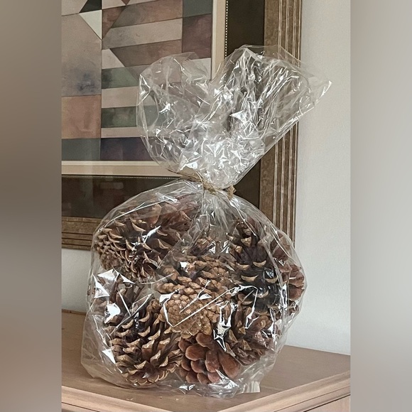 Pinecones (NWT) 5 pc $24.99 home decor - Picture 3 of 7